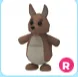 Kangaroo