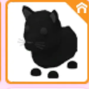 no pot black panther