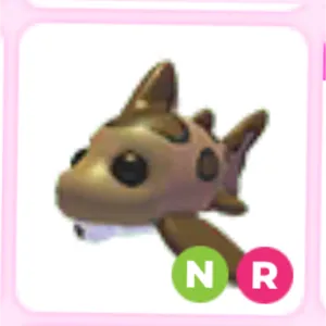 neon ride leopard shark