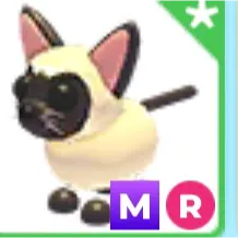 MEGA RIDE SIAMESE CAT