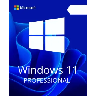 Windows 11/10 Professional key