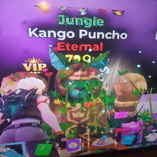 Kango 5 Trais 79qi