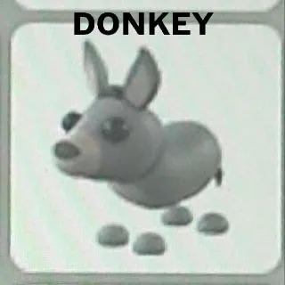 Donkey