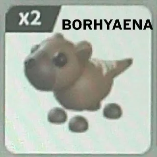 2x Borhyaena