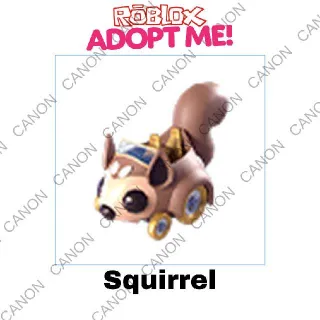 Other | Squirrel