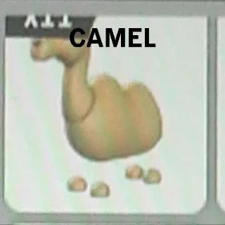 10x Camel