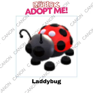 Other | Laddybug