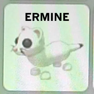 Ermine