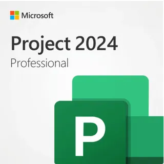 Microsoft Project Professional 2024
