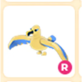 R Golden Albatross