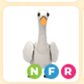 NFR Swan