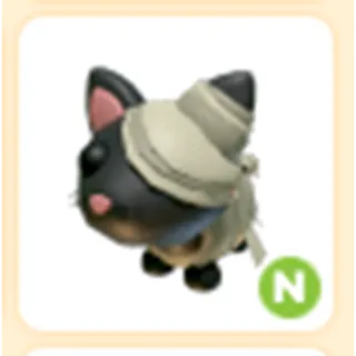 Neon Halloween Black Mummy Cat