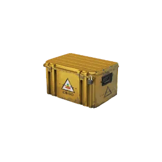 2 Prisma 1 Cases | CS2