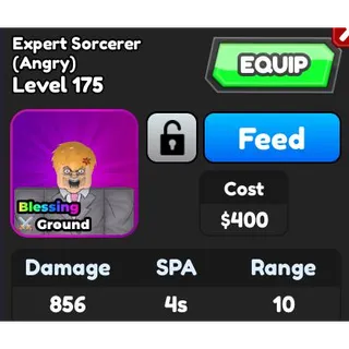 Expert Sorcerer (Angry) astd