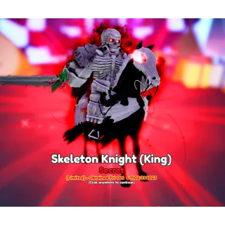 Skeleton Knight EVO ANIME ADVENTURES