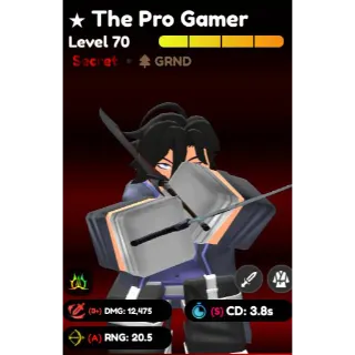 ALMIGHTY THE PRO GAMER