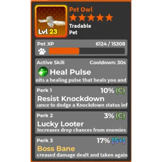 Pet Owl 17% BOB (Boss Bane)