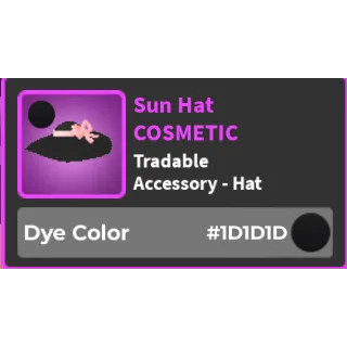 Sun Hat #1D1D1D