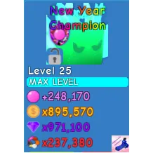 Pet | New Year Champion