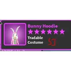 Other | Bunny Hoodie