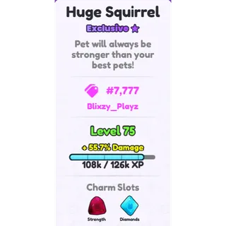 Huge Squirrel #7777 and #4444