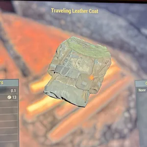 Traveling Leather Coat