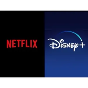 Disney+ & shared Netflix 4K Account / 1Year