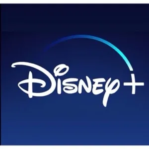 Shared Disney+ 3 Months Account