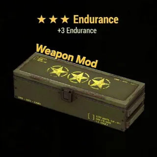 Endurance Mod