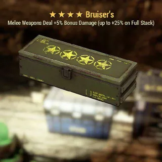 Bruisers Mod