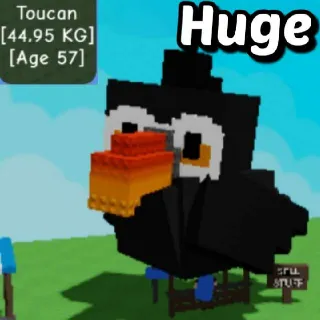 Huge Toucan