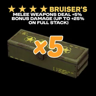 Bruisers Mods