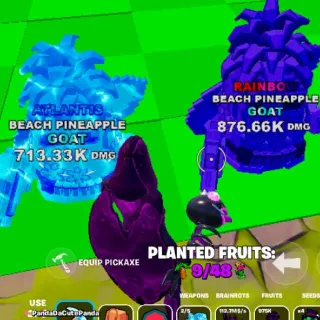 Two Pineapple Goat FRUITS