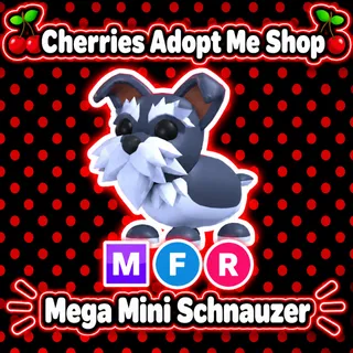 MFR Mini Schnauzer