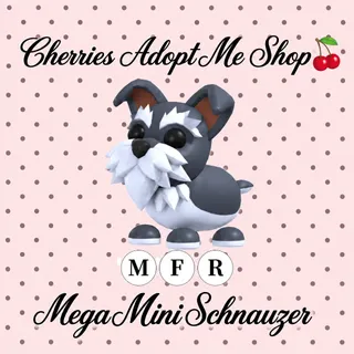 MFR Mini Schnauzer