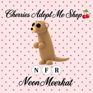 NFR Meerkat