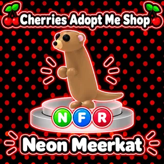 NFR Meerkat