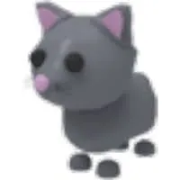 MFR Cat