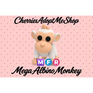 MFR Albino Monkey