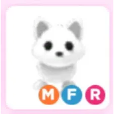 MFR Arctic fox