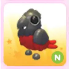 NR dracula parrot