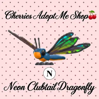 Neon Clubtail Dragonfly
