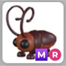 M Cockroach