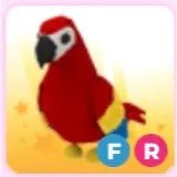 Adopt Me FR Parrot