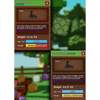 GIANT SCORPION 60/61KG