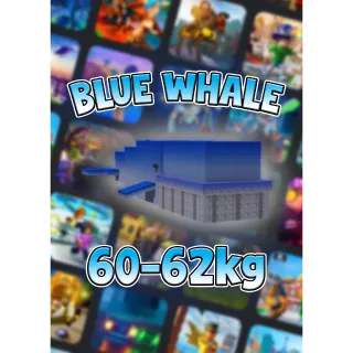 BLUE WHALE 60-62KG