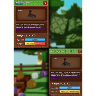 GIANT SCORPION 60/61KG