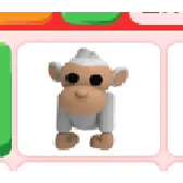 Albino Monkey