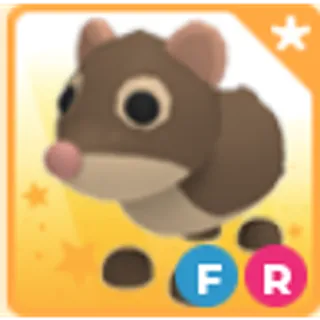 FR Shrew