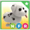 NFR Dalmatian